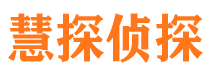 珠晖市调查公司